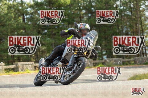 Passo del Muraglione 19-10-25 h14-11 1155