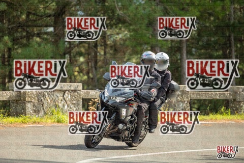 Passo del Muraglione 19-10-25 h14-12 1158