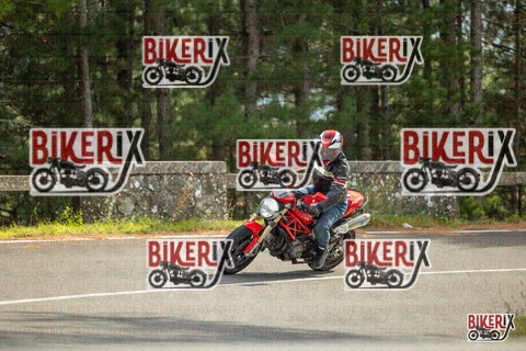 Passo del Muraglione 19-10-25 h14-14 1163