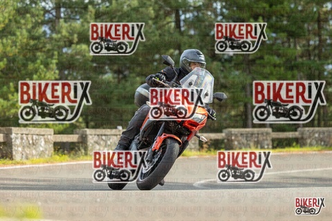 Passo del Muraglione 19-10-25 h14-14 1166