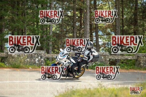 Passo del Muraglione 19-10-25 h14-15 1169