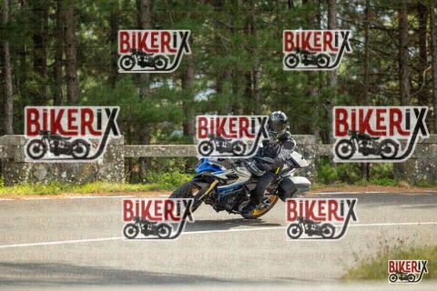 Passo del Muraglione 19-10-25 h14-16 1178