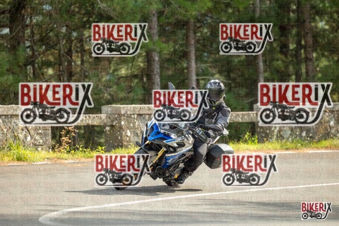 Passo del Muraglione 19-10-25 h14-16 1179