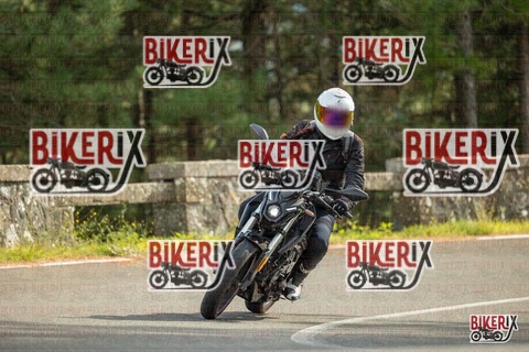 Passo del Muraglione 19-10-25 h14-17 1184