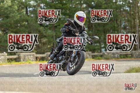 Passo del Muraglione 19-10-25 h14-17 1186