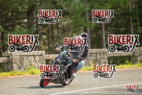 Passo del Muraglione 19-10-25 h14-17 1188