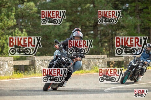 Passo del Muraglione 19-10-25 h14-17 1189