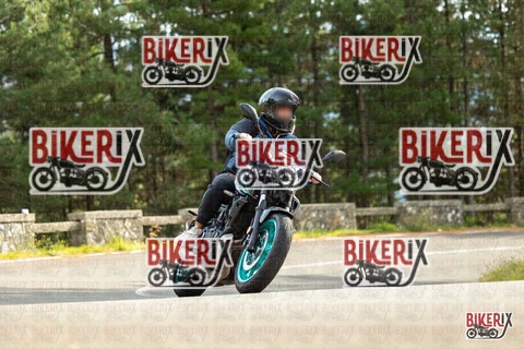 Passo del Muraglione 19-10-25 h14-17 1191