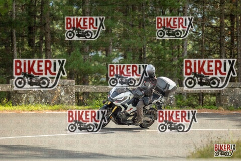 Passo del Muraglione 19-10-25 h14-21 1197