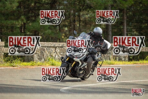 Passo del Muraglione 19-10-25 h14-21 1198