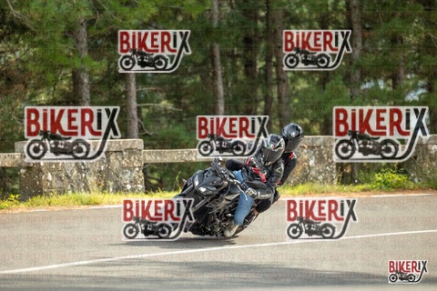 Passo del Muraglione 19-10-25 h14-24 1207