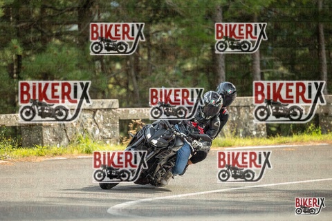 Passo del Muraglione 19-10-25 h14-24 1208