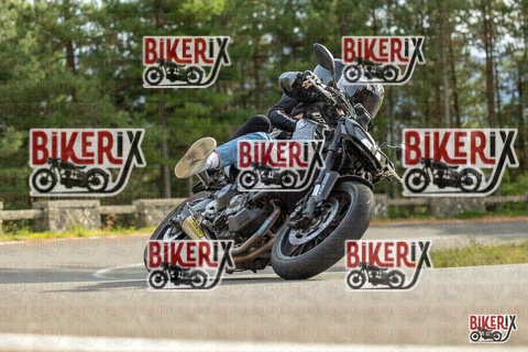 Passo del Muraglione 19-10-25 h14-24 1210