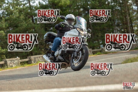 Passo del Muraglione 19-10-25 h14-25 1228