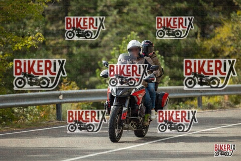 Passo del Muraglione 19-10-25 h14-32 1241