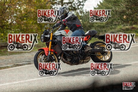 Passo del Muraglione 19-10-25 h14-36 1252