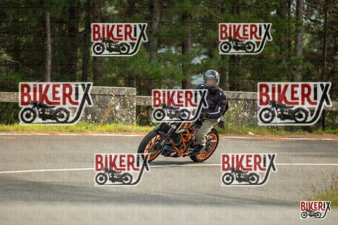 Passo del Muraglione 19-10-25 h14-38 1261