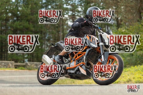 Passo del Muraglione 19-10-25 h14-38 1262