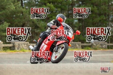 Passo del Muraglione 19-10-25 h14-43 1298