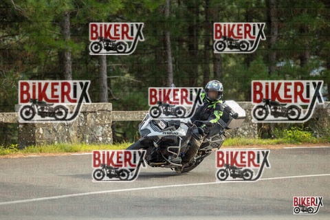 Passo del Muraglione 19-10-25 h14-56 1346