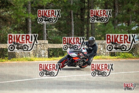 Passo del Muraglione 19-10-25 h14-58 1360