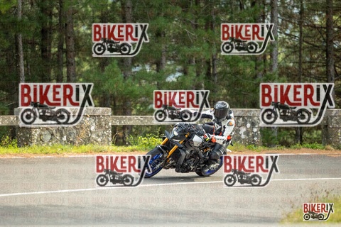 Passo del Muraglione 19-10-25 h14-58 1366