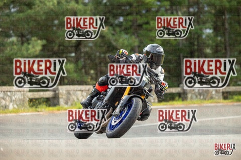 Passo del Muraglione 19-10-25 h14-58 1370