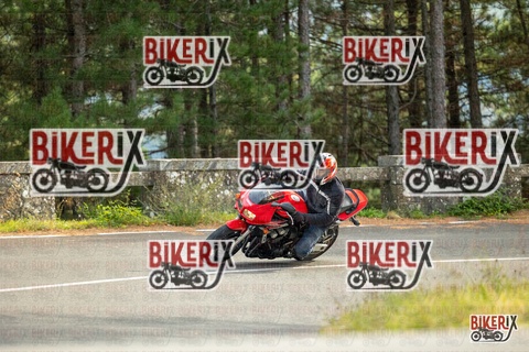 Passo del Muraglione 19-10-25 h14-59 1372