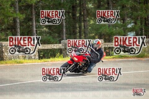 Passo del Muraglione 19-10-25 h14-59 1373