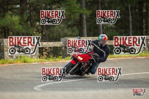 Passo del Muraglione 19-10-25 h14-59 1374