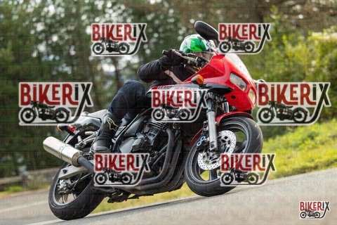 Passo del Muraglione 19-10-25 h14-59 1381