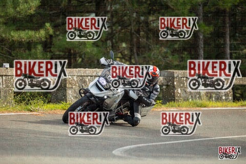 Passo del Muraglione 19-10-25 h15-00 1385