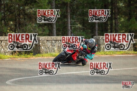 Passo del Muraglione 19-10-25 h15-00 1391