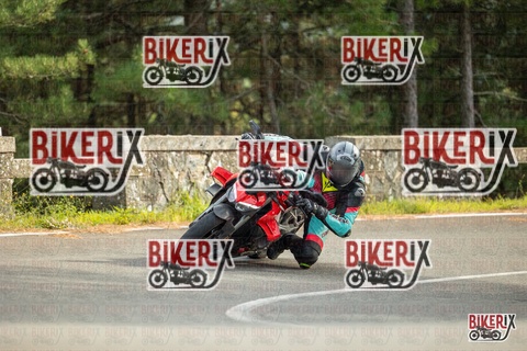 Passo del Muraglione 19-10-25 h15-00 1392