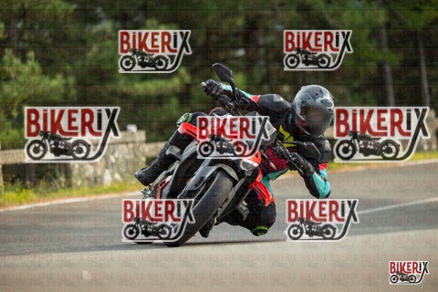 Passo del Muraglione 19-10-25 h15-00 1394