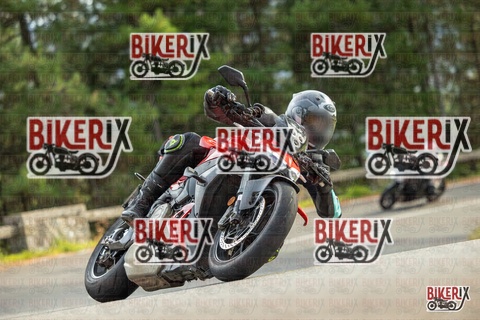 Passo del Muraglione 19-10-25 h15-00 1397