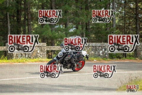 Passo del Muraglione 19-10-25 h15-01 1403