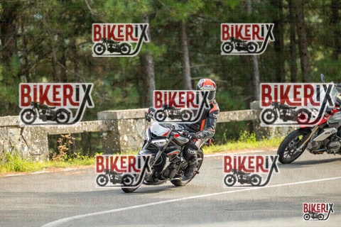 Passo del Muraglione 19-10-25 h15-01 1411