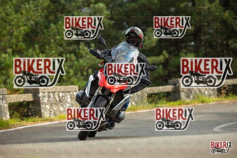 Passo del Muraglione 19-10-25 h15-01 1414