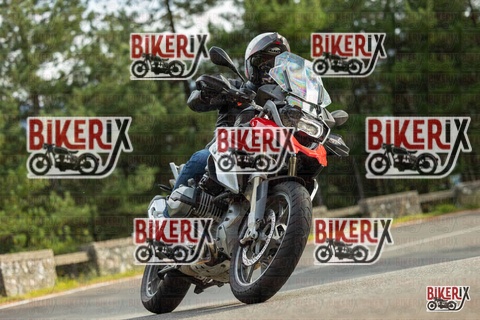 Passo del Muraglione 19-10-25 h15-01 1416