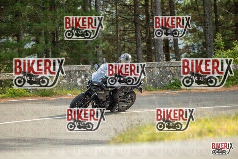 Passo del Muraglione 19-10-25 h15-01 1417