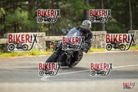 Passo del Muraglione 19-10-25 h15-01 1418