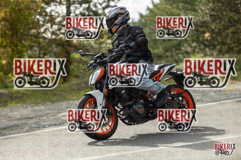 Passo del Muraglione 19-10-25 h15-07 1473