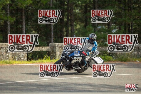 Passo del Muraglione 19-10-25 h15-10 1476