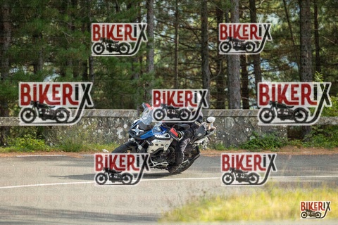 Passo del Muraglione 19-10-25 h15-10 1483