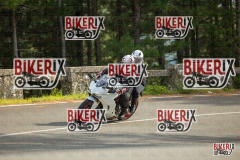 Passo del Muraglione 19-10-25 h15-11 1493