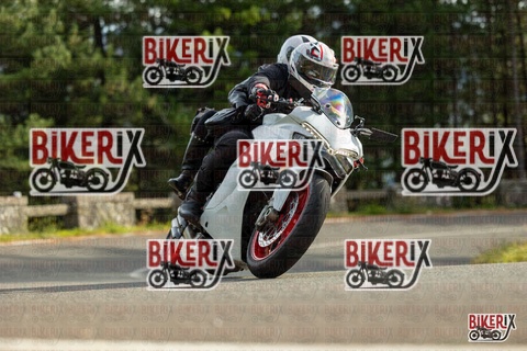 Passo del Muraglione 19-10-25 h15-11 1497