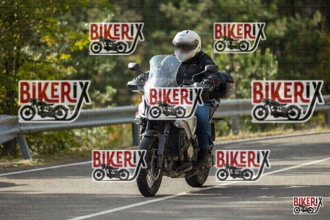 Passo del Muraglione 19-10-25 h15-12 1498