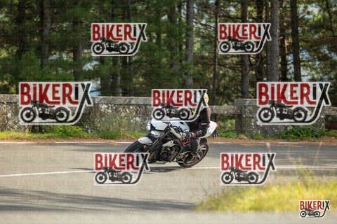 Passo del Muraglione 19-10-25 h15-14 1504