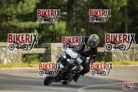 Passo del Muraglione 19-10-25 h15-14 1505